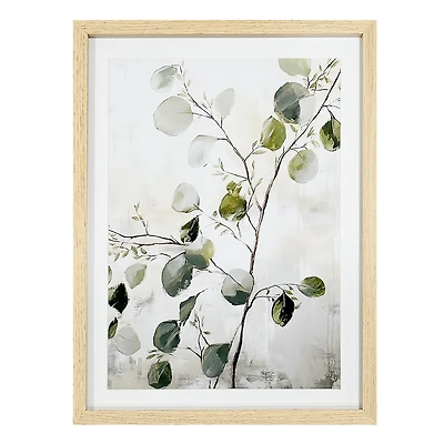 Cadre naturel - Branche d'eucalyptus