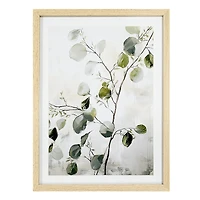 Cadre naturel - Branche d'eucalyptus