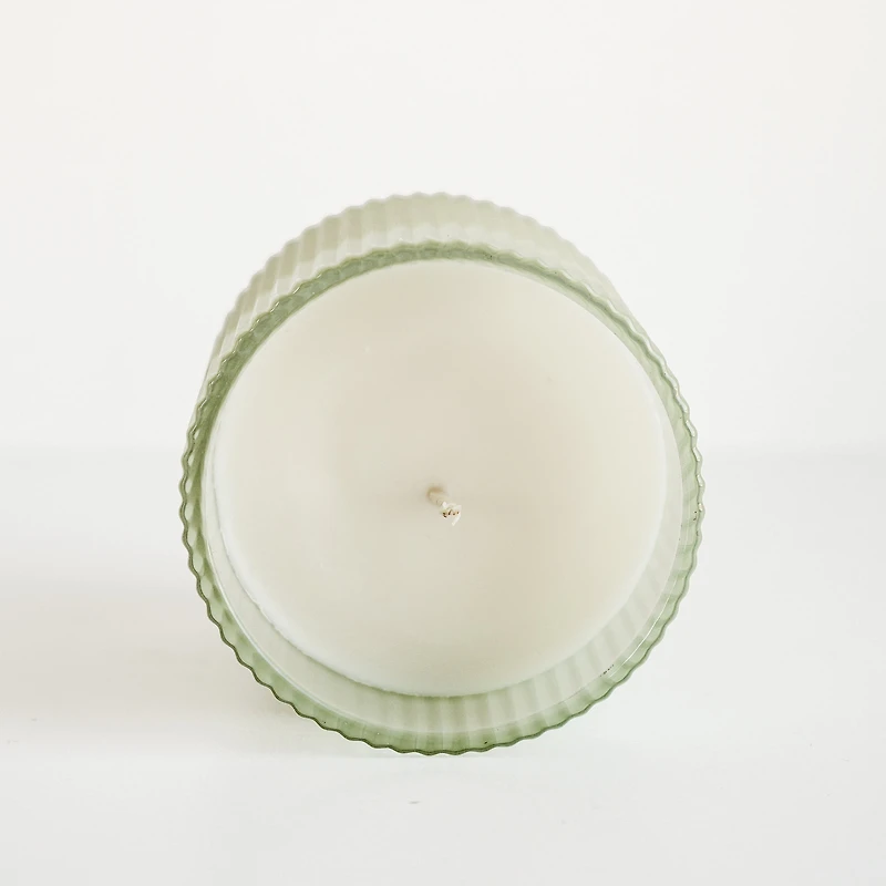 Chandelle striée - Forêt de sapins