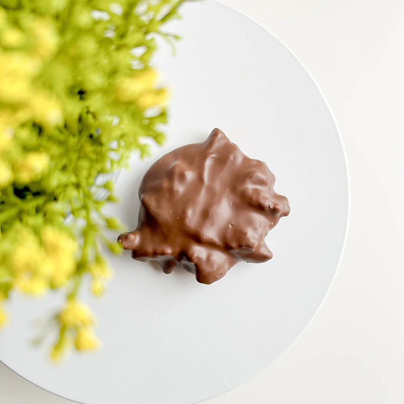 Chocolat géant - Caramel et noix de pécan