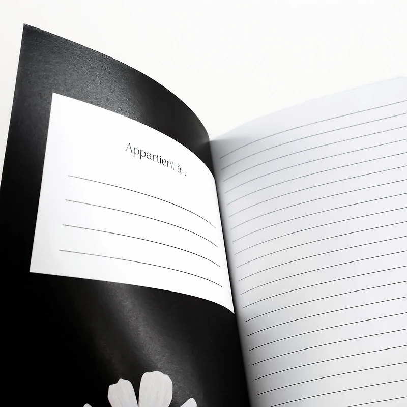 Carnet de notes - Murmures dans la nuit