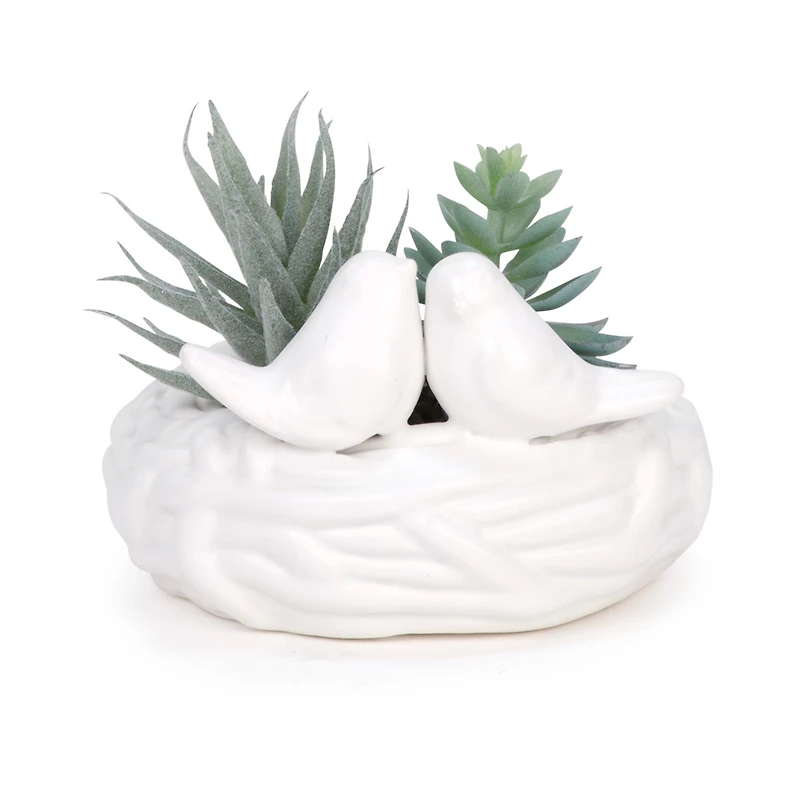 Plante en pot - Oiseaux blancs