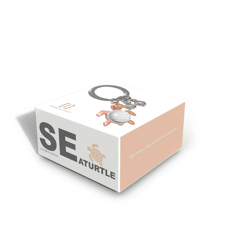 Porte-clé - Famille de tortues