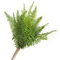 Bouquet de fougère