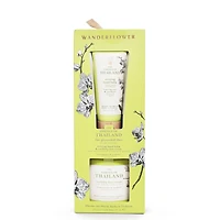 Coffret cadeau – Citronnelle & Jasmin