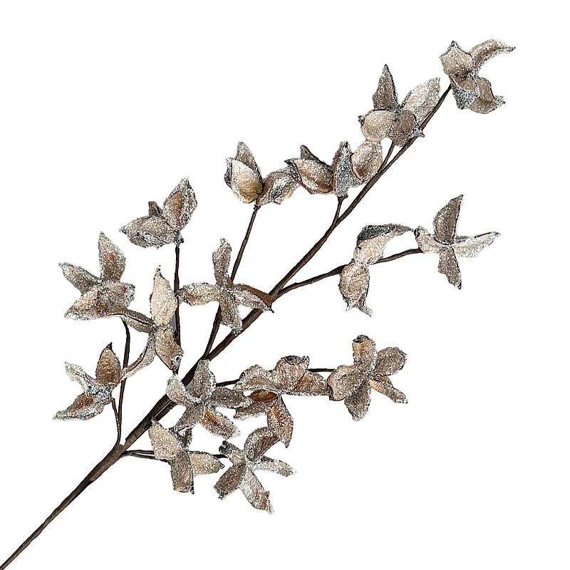 Tige de fleur de coton givrée