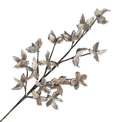 Tige de fleur de coton givrée