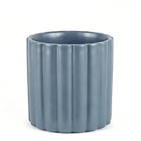 Blue Mirage planter -Curl