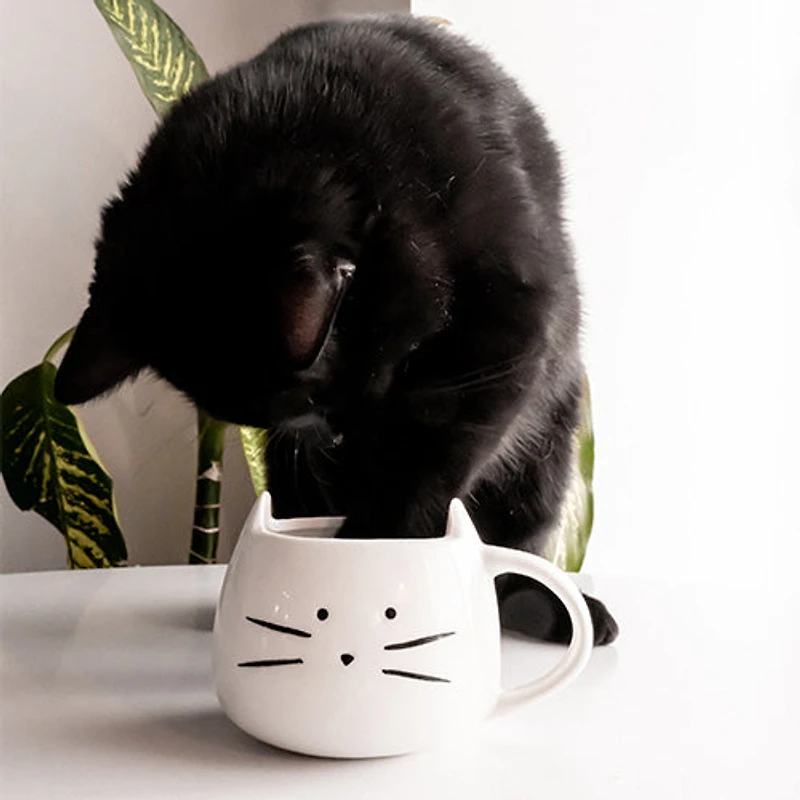 Mug - Adorable cat