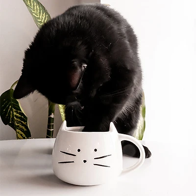 Mug - Adorable cat