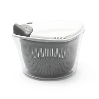 Salad spinner