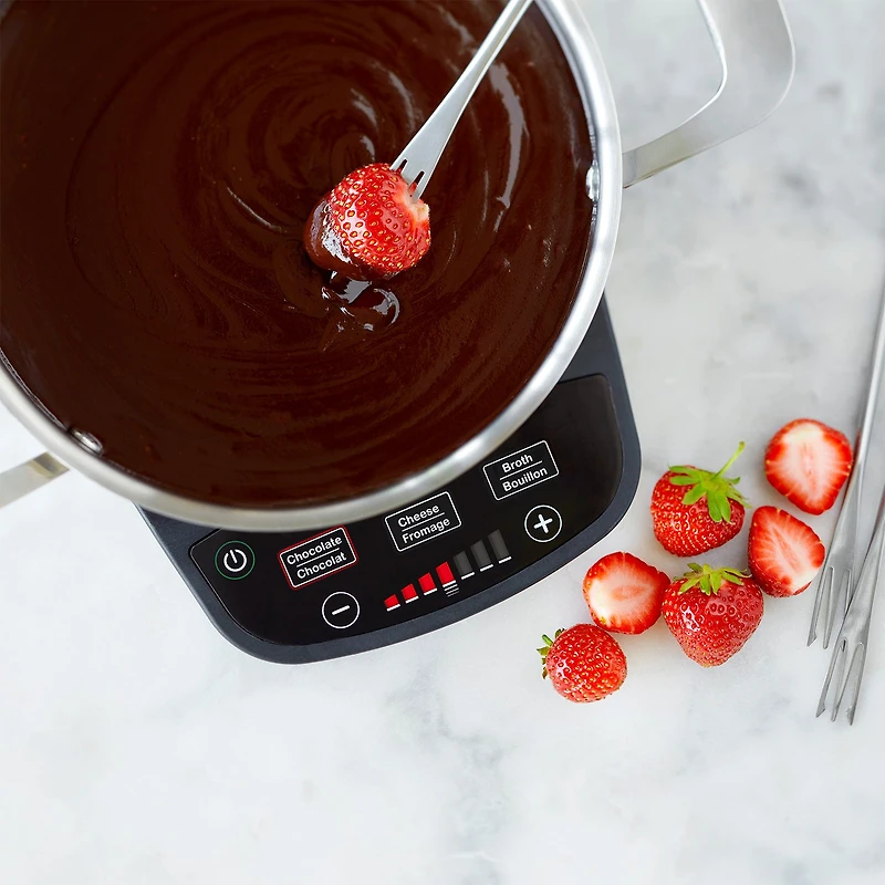 Electric fondue set