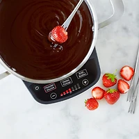 Electric fondue set