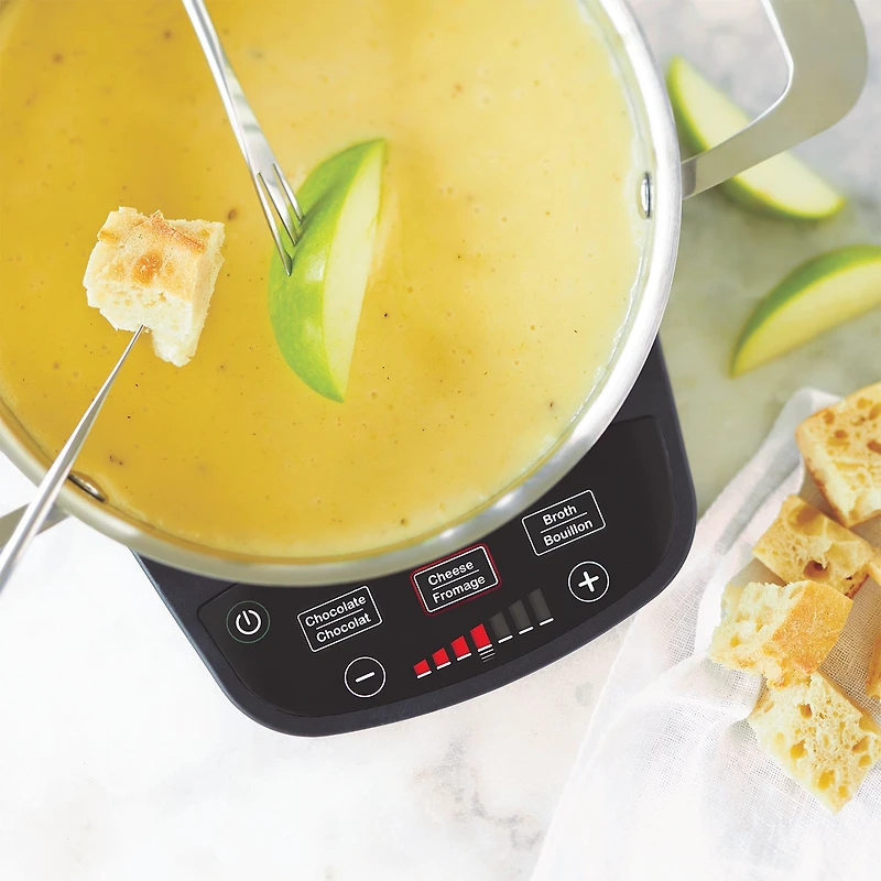 Electric fondue set