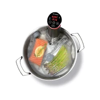 Magnetic weights for the precision vacuum cooker