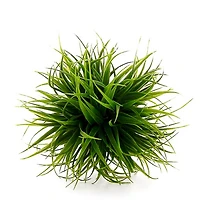 Grass ball