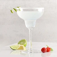Ensemble de 2 grands verres à margarita