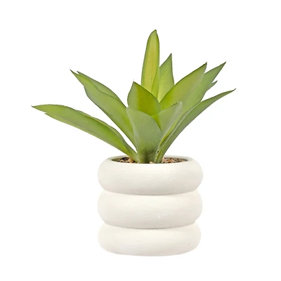 White pot plant - Bubble