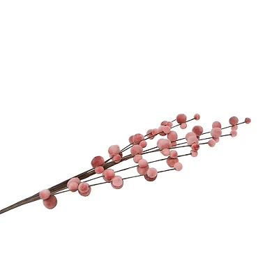 Catkins stem - Pink