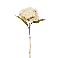Tige de fleur blanche