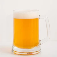 Ensemble de 2 bocks à bière