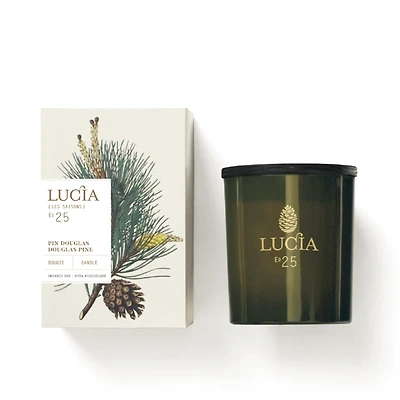 Candle 50h - Pin Douglas