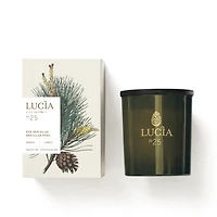 Candle 50h - Pin Douglas