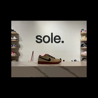 Pre-Owned Dunk Low SB 'Muslin'