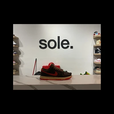 Pre-Owned Dunk Low 'Light British Brown'