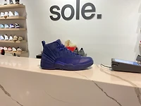 Pre-Owned Air Jordan 12 Retro 'Deep Royal'
