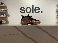 Pre-Owned Air Foamposite One 'Copper' 2024