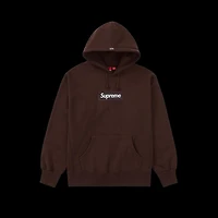 Supreme Box Logo Hoodie Brown FW21