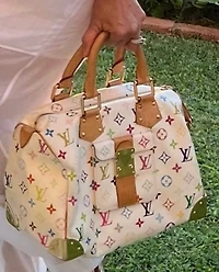 Louis Vuitton Speedy Handbag Monogram Multicolor 30