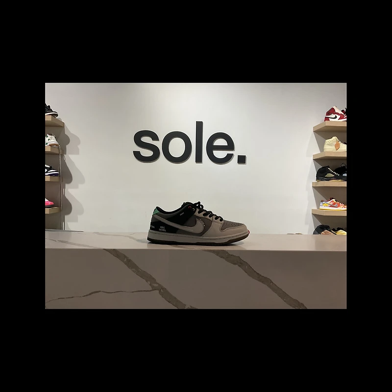 Pre-Owned Dunk Low SB 'Camcorder'