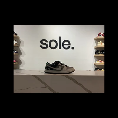 Pre-Owned Dunk Low SB 'Camcorder'