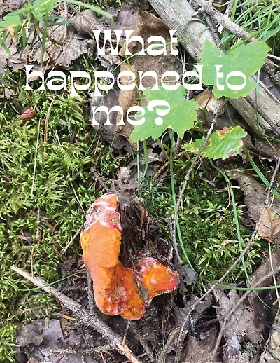 what happened to me?