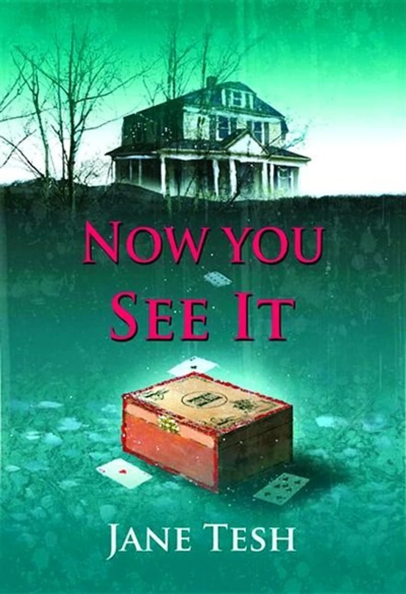Now You See it: A Grace Street Mystery