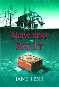 Now You See it: A Grace Street Mystery