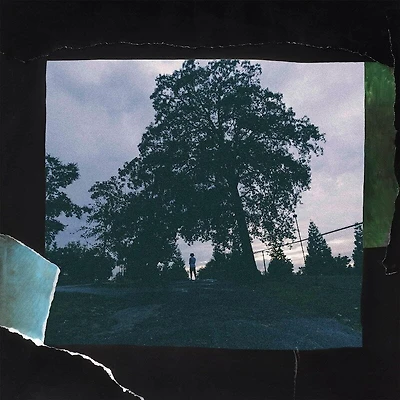 4 Your Eyez Only by J. Cole (1 LP)