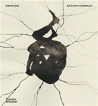 Drawing: Antony Gormley