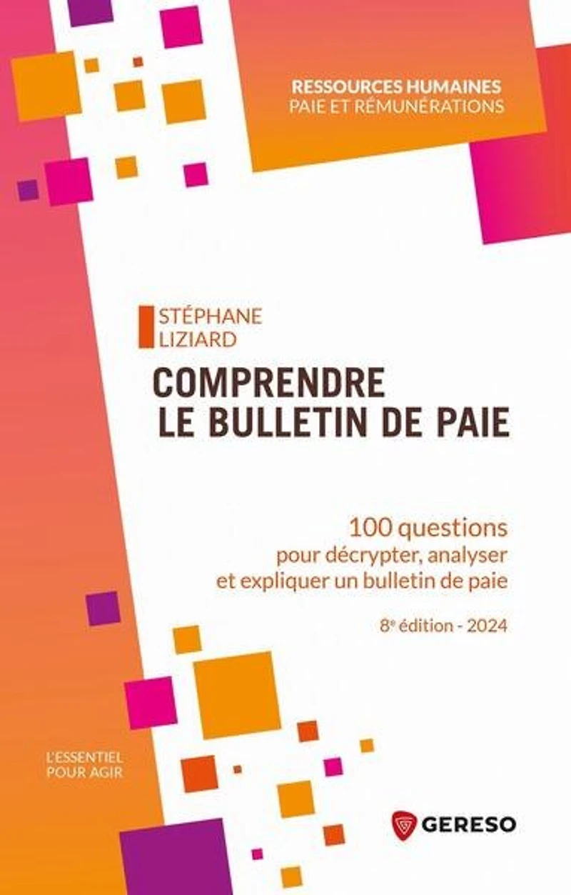 Comprendre le bulletin de paie: 100 questions pour décrypter, analyser et expliquer un paie
