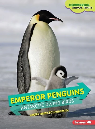 Emperor Penguins: Antarctic Diving Birds