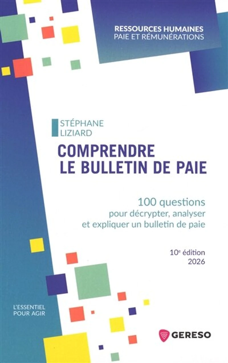 Comprendre le bulletin de paie: 100 questions pour décrypter, analyser et expliquer un paie
