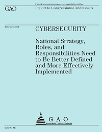 Report to Congressional Addressees: CyberSecurity