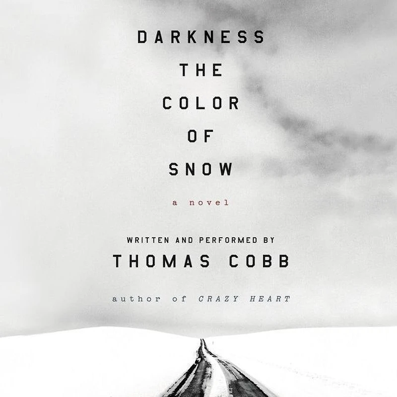 Darkness the Color of Snow: A Novel