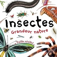 INSECTES