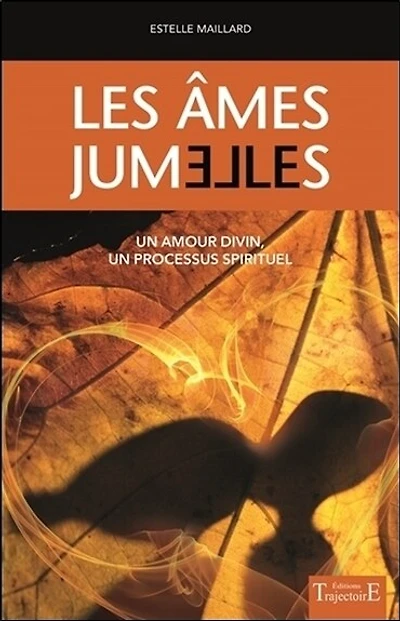 Les âmes jumelles: un amour divin, un processus spirituel