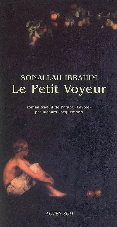 Le petit voyeur