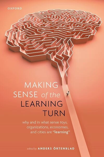 Making Sense of the Learning Turn: Why and What Toys, Organizations, Economies, Cities are "Learning"