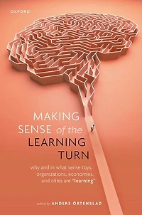 Making Sense of the Learning Turn: Why and What Toys, Organizations, Economies, Cities are "Learning"